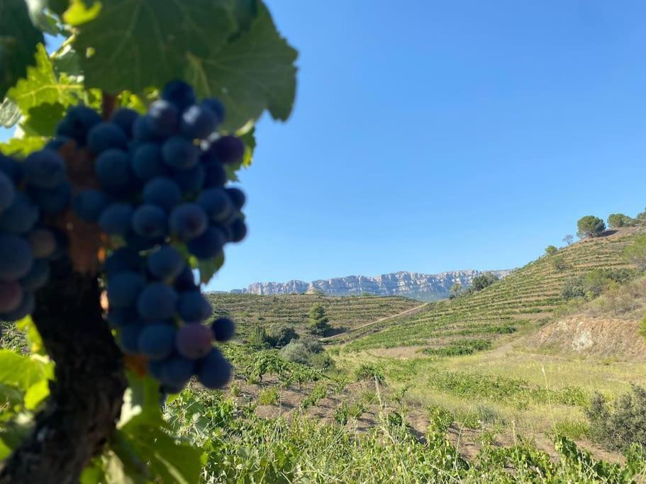 شقة Vinyes Del Priorat كورنووديلا المظهر الخارجي الصورة